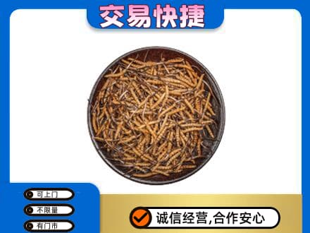 黔东南岑巩县回收散虫草